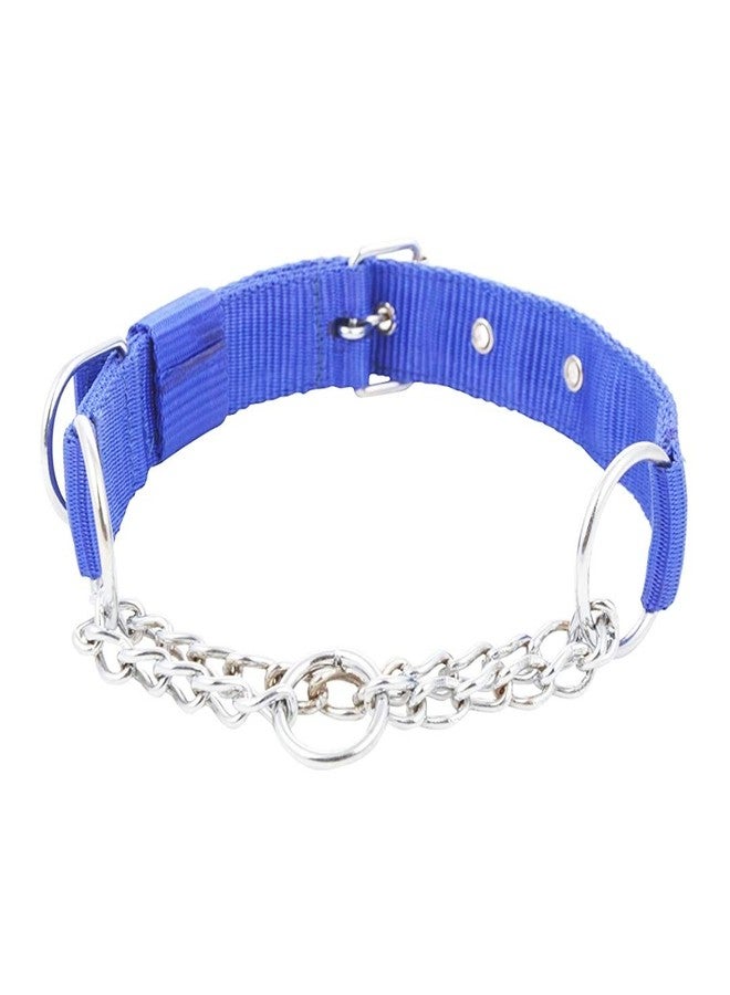 Petlicious & More Tough Nylon Made Choke Collar (Thick - 1.25 Inch, Neck Size 24" to 28" Inch) for Large & Giant Breed Dogs - Blue - Image 2